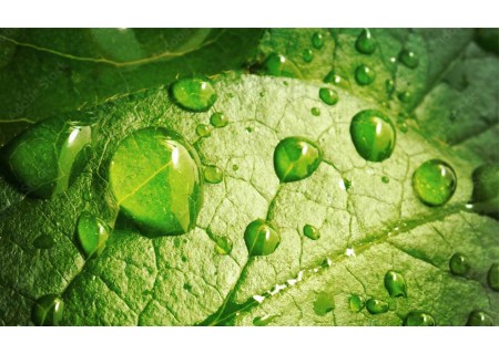 How To Use Liquid Fertilisers